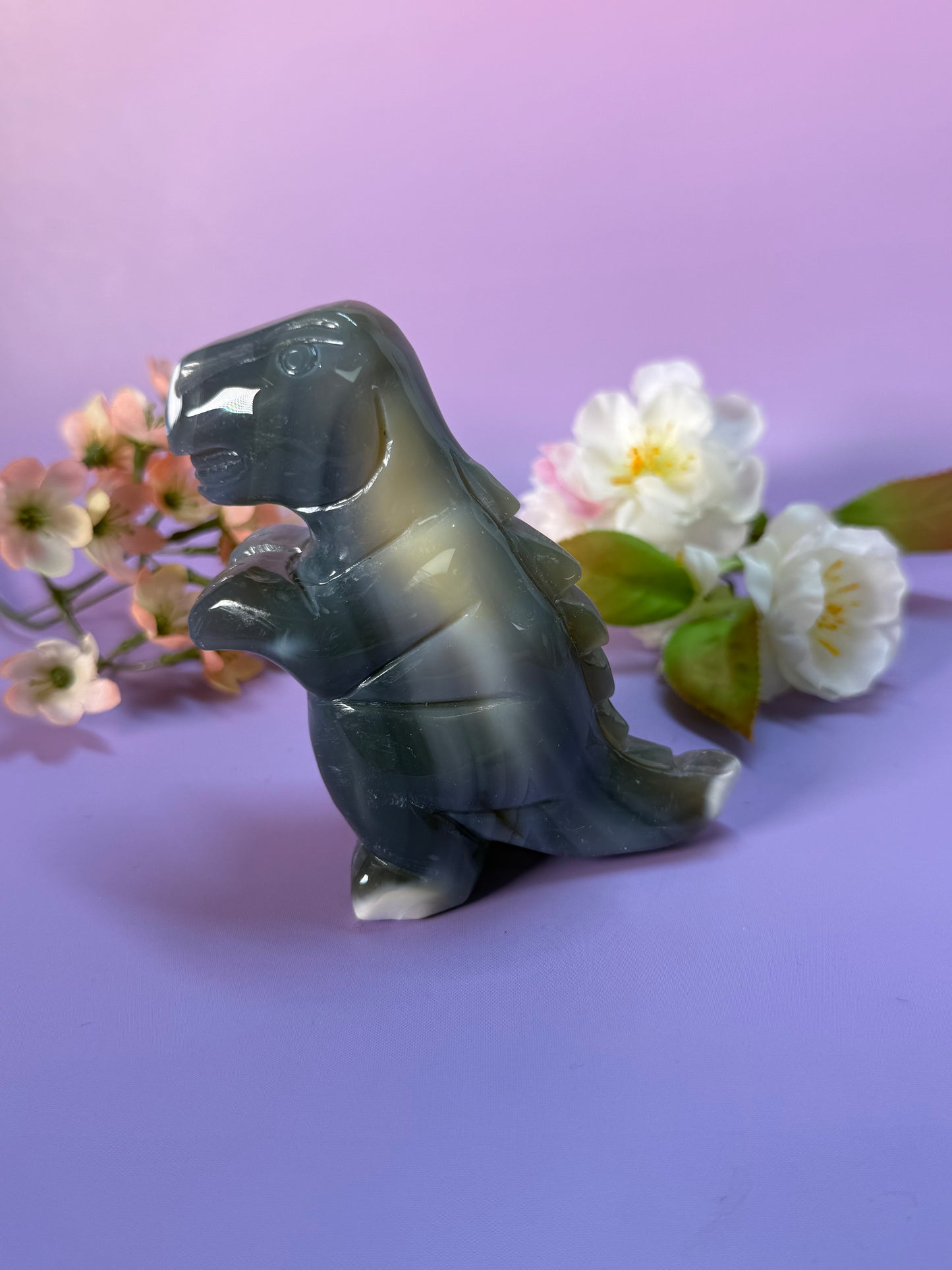 Orcha Achat Dino Nr. 99D