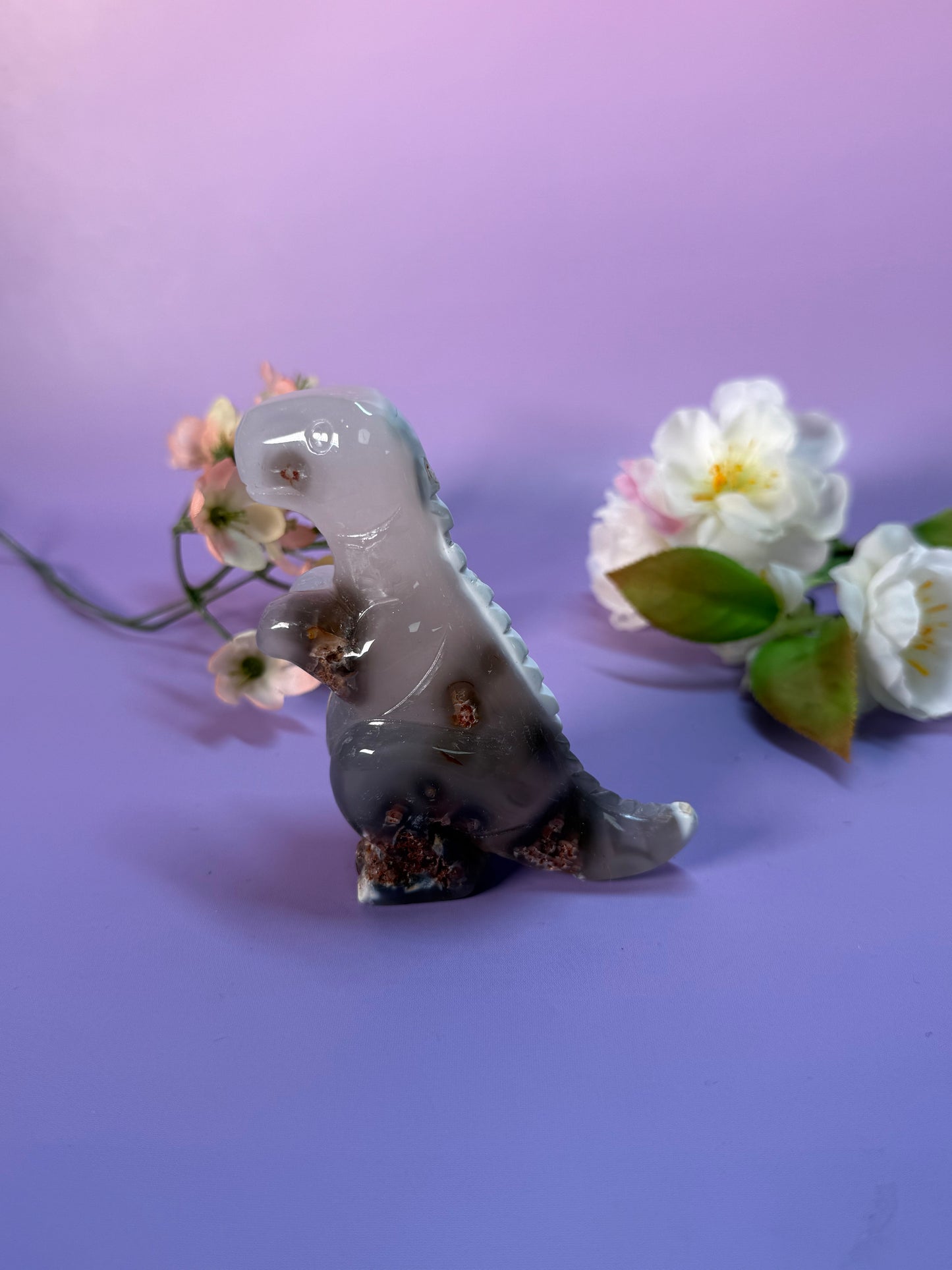 Orcha Achat Dino Nr. 79C