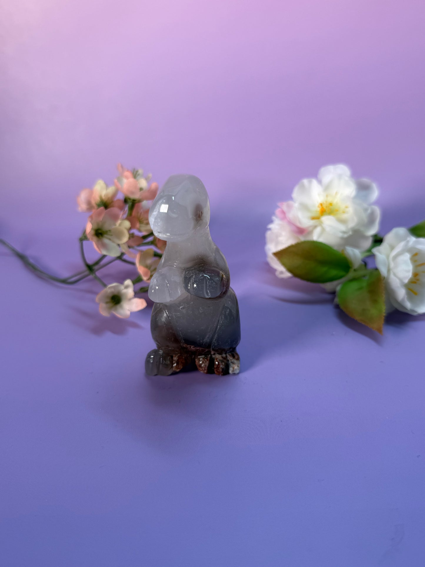 Orcha Achat Dino Nr. 79C