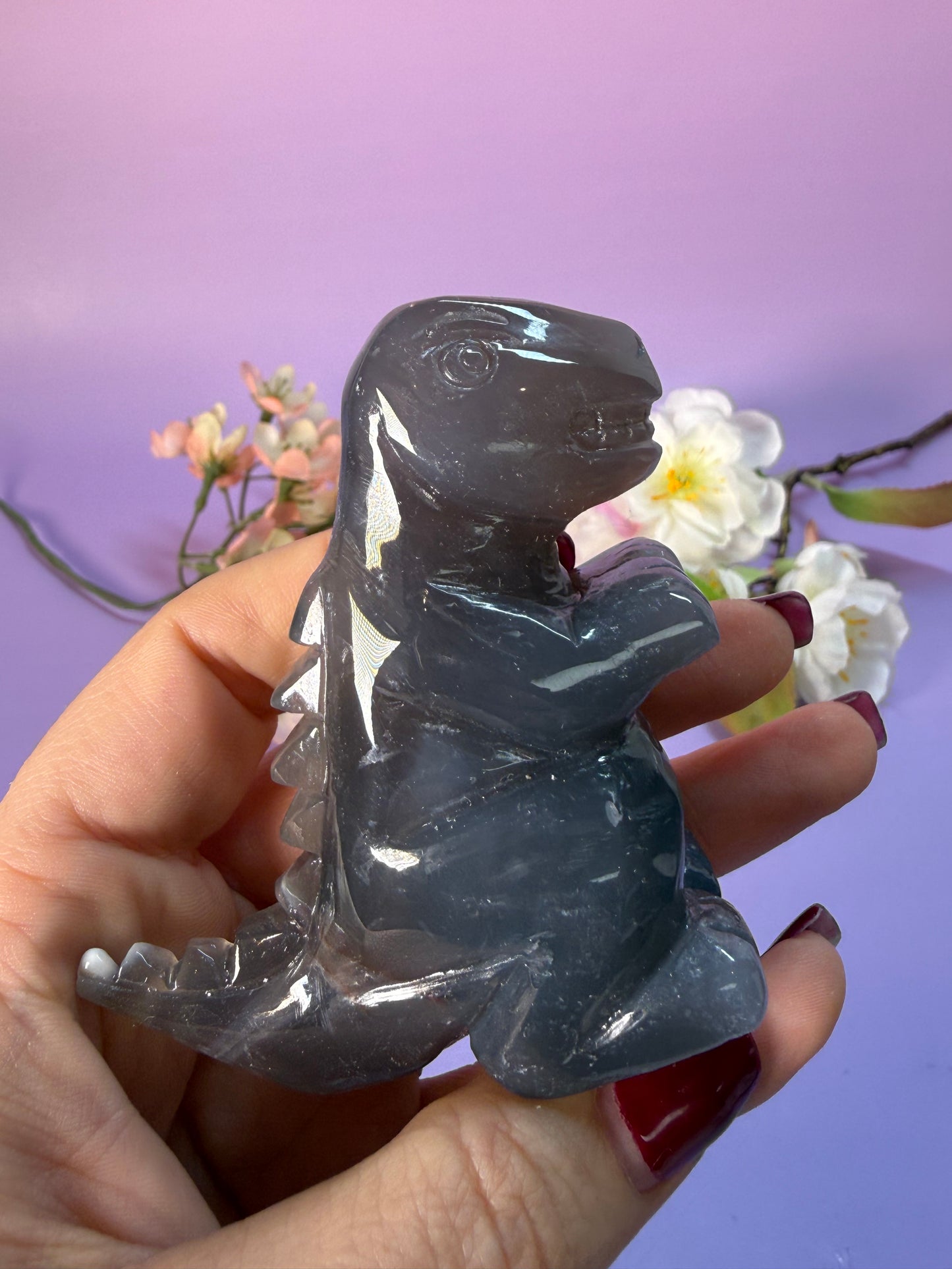 Orcha Achat Dino Nr. 49N