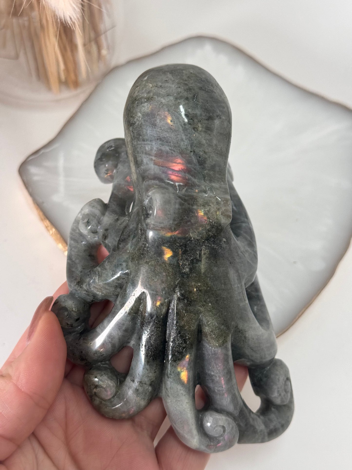 Labradorit Oktopus