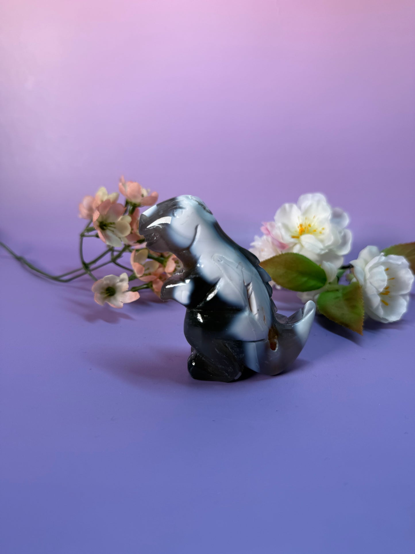 Orcha Achat Dino Nr. 49M