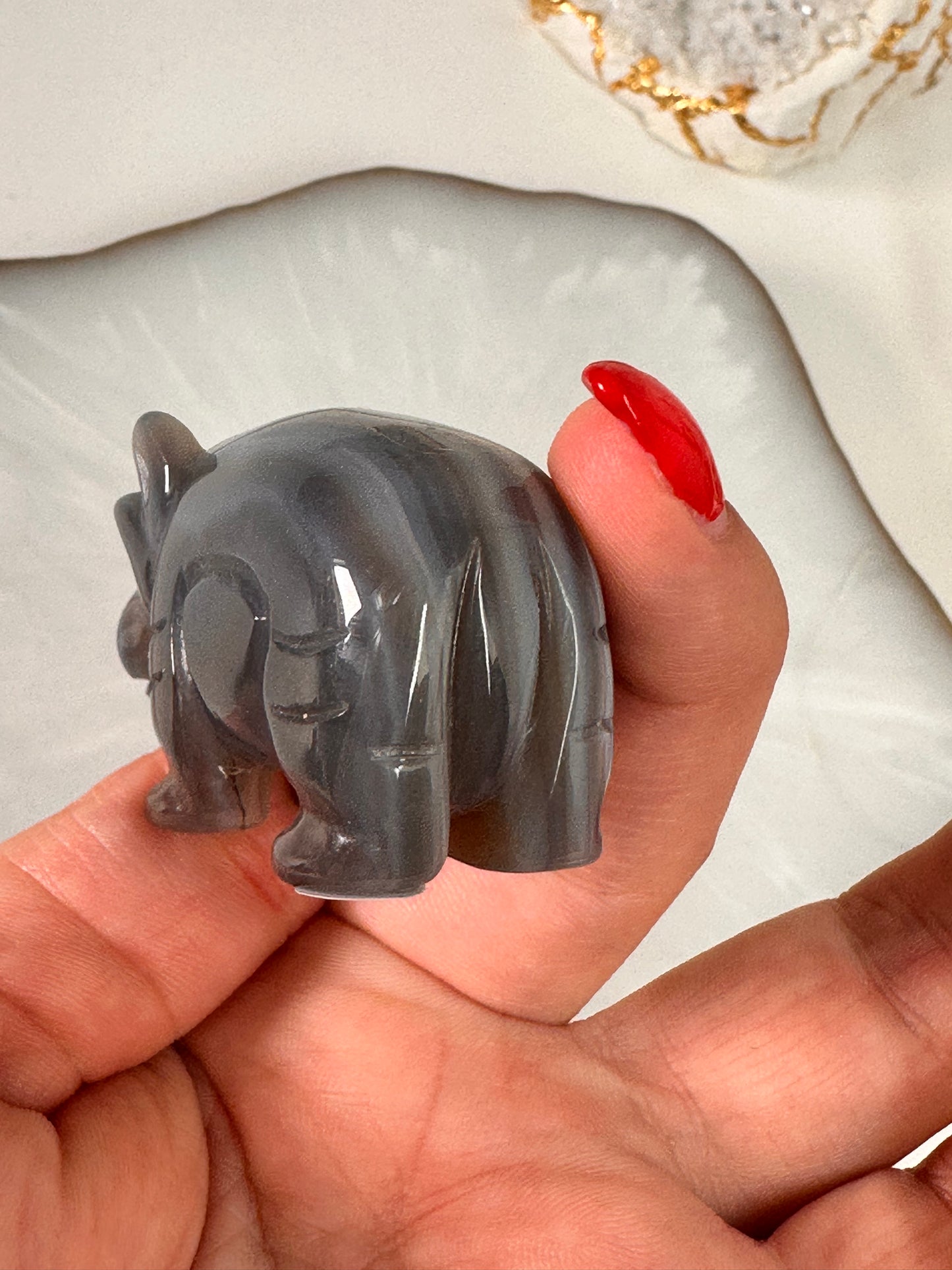 Achat Hippo 28D