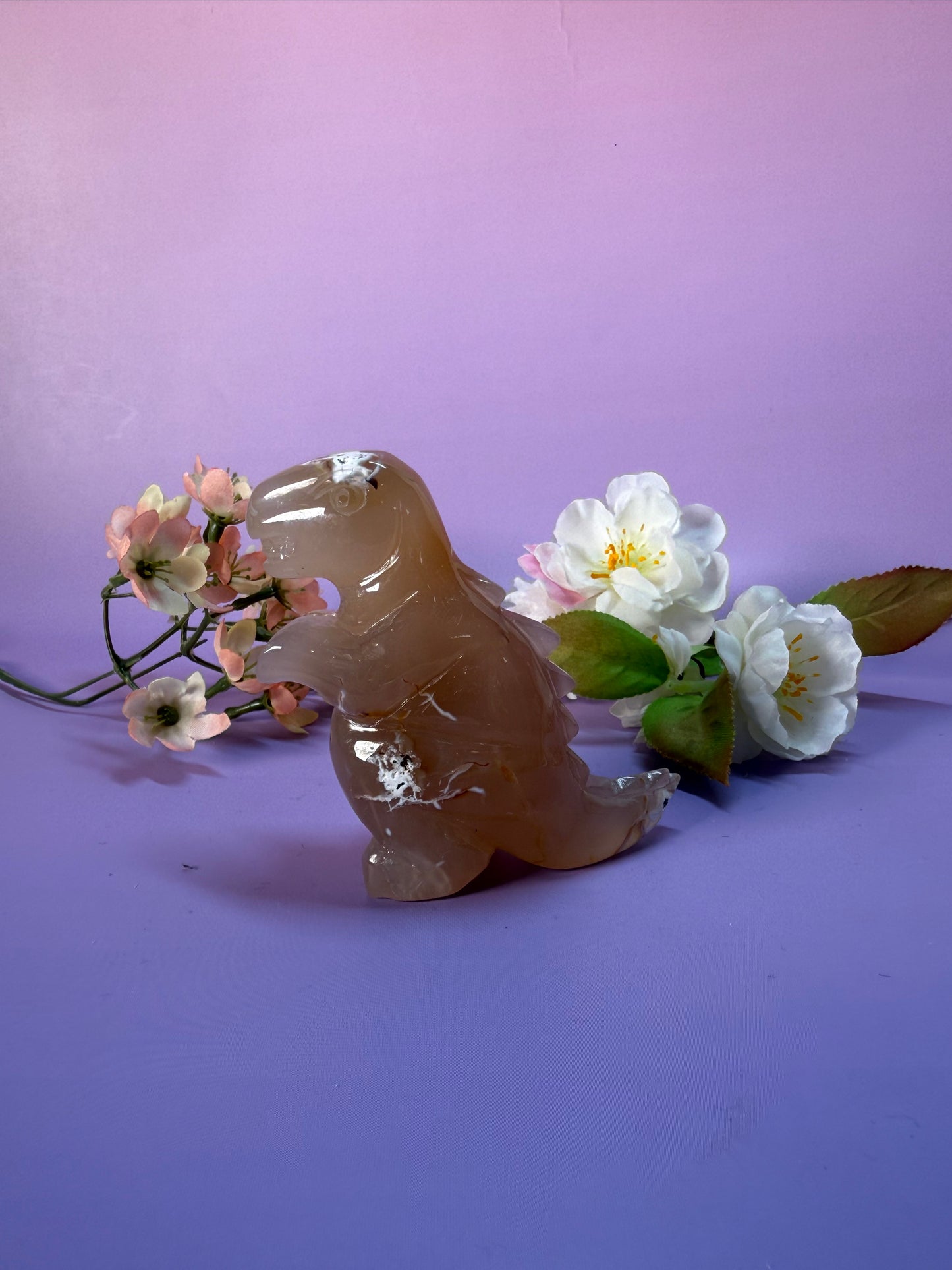 Orcha Achat Dino Nr. 59L