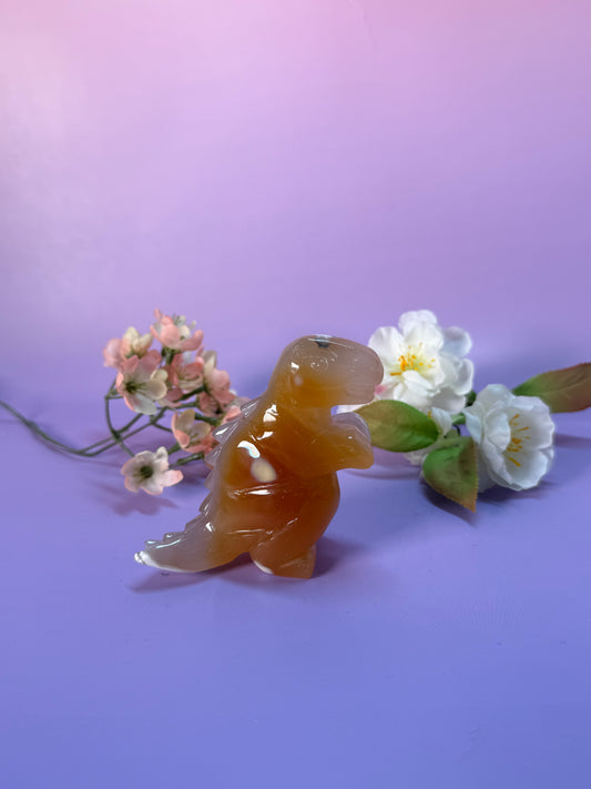 Orcha Achat Dino Nr. 59L