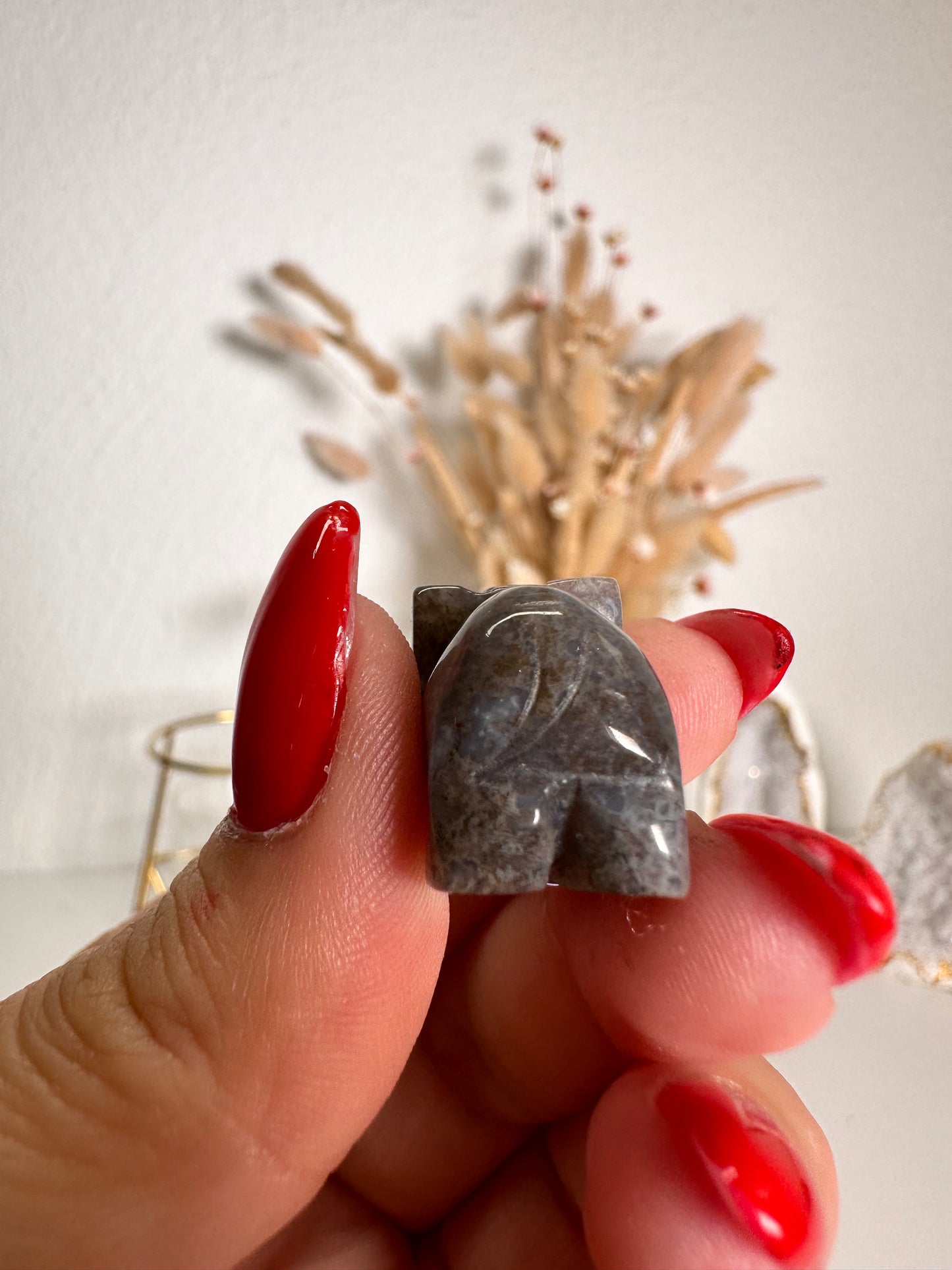 Mini Ozeanjaspis Elefant 6J