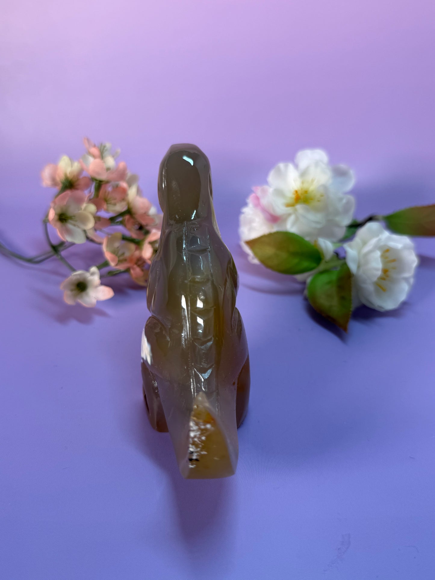 Orcha Achat Dino Nr. 99A
