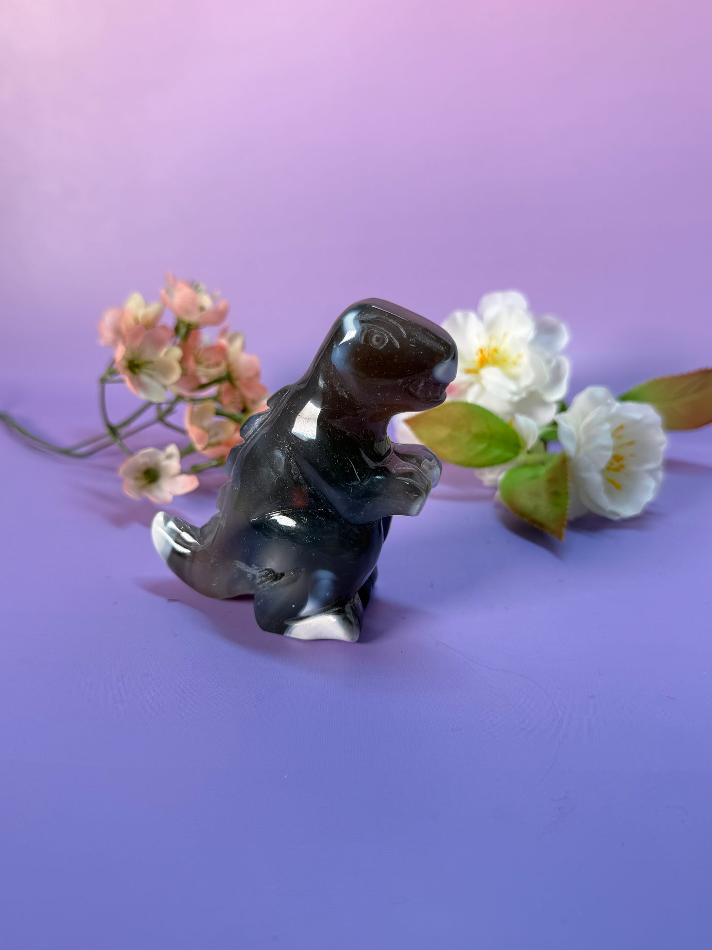Orcha Achat Dino Nr. 49Z
