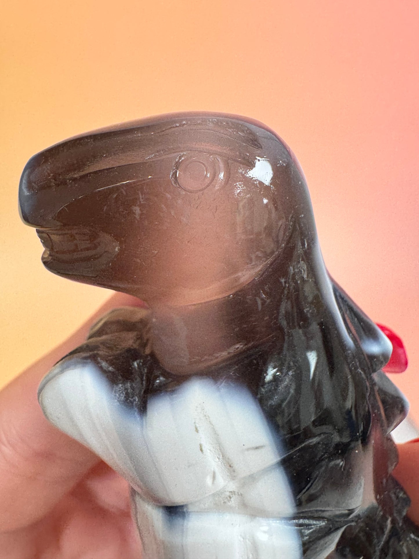 Orcha Achat Dino Nr. 99
