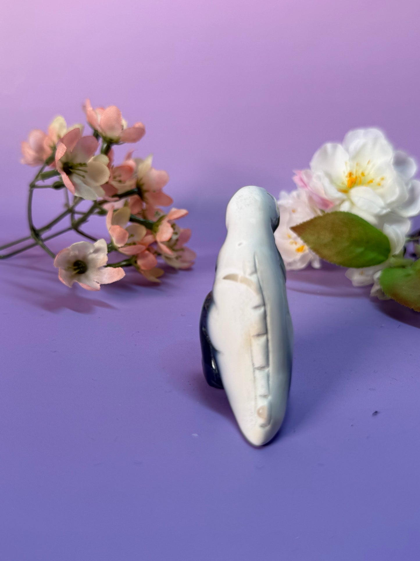 Orcha Achat Dino Nr. 29X