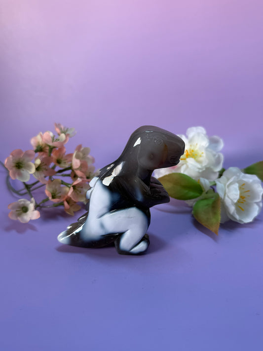 Orcha Achat Dino Nr. 79D