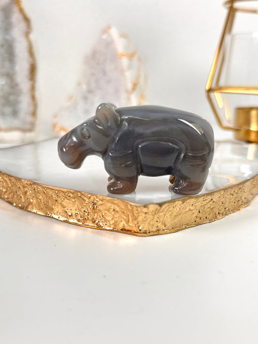 Achat Hippo 28D