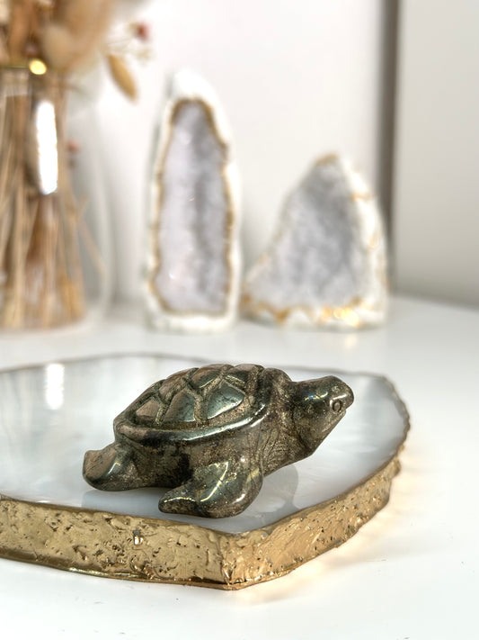 Pyrit Schildkröte 22I
