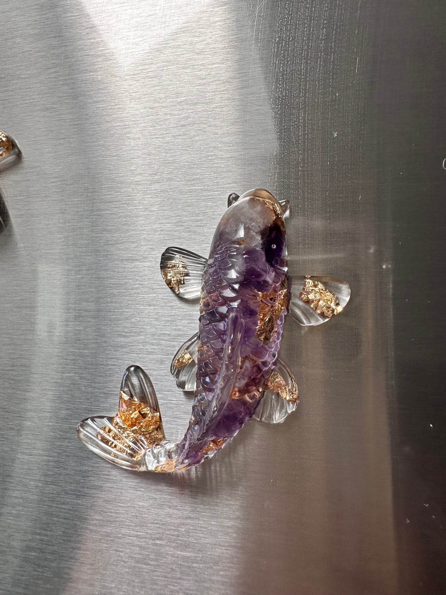 Kühlschrank Magnet Koi