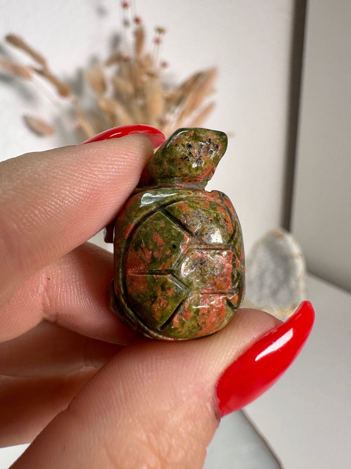 Mini Unakit Schildkröte 6H