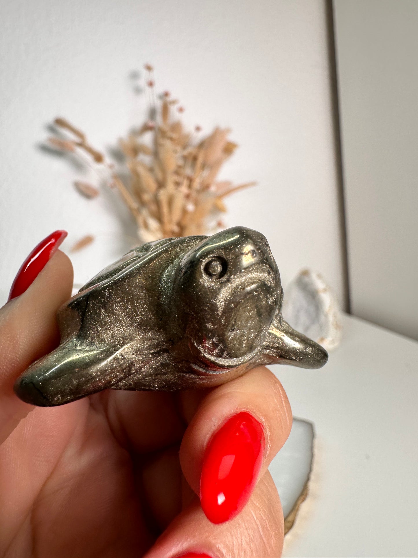 Pyrit Schildkröte 22H