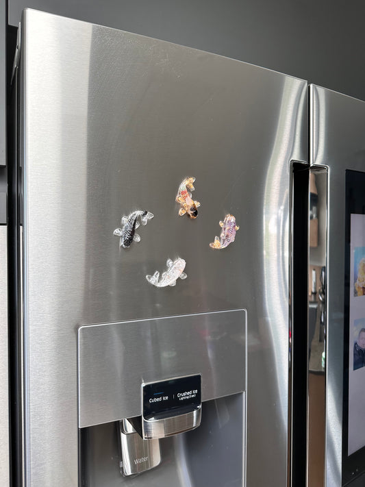 Kühlschrank Magnet Koi
