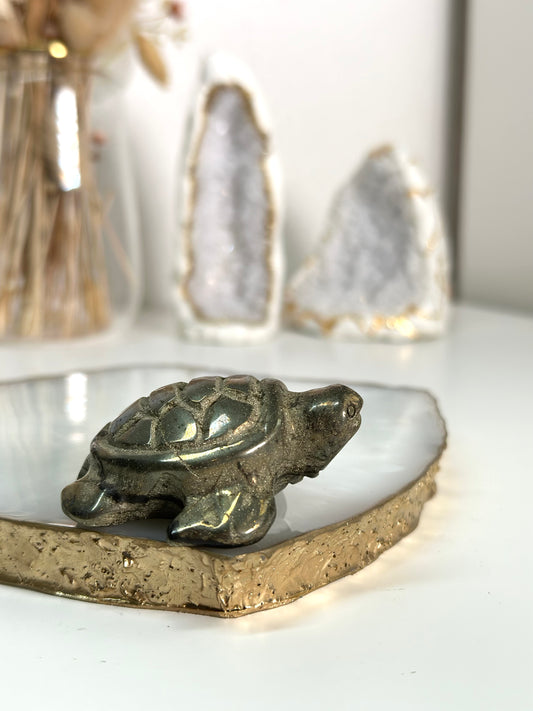 Pyrit Schildkröte 22G