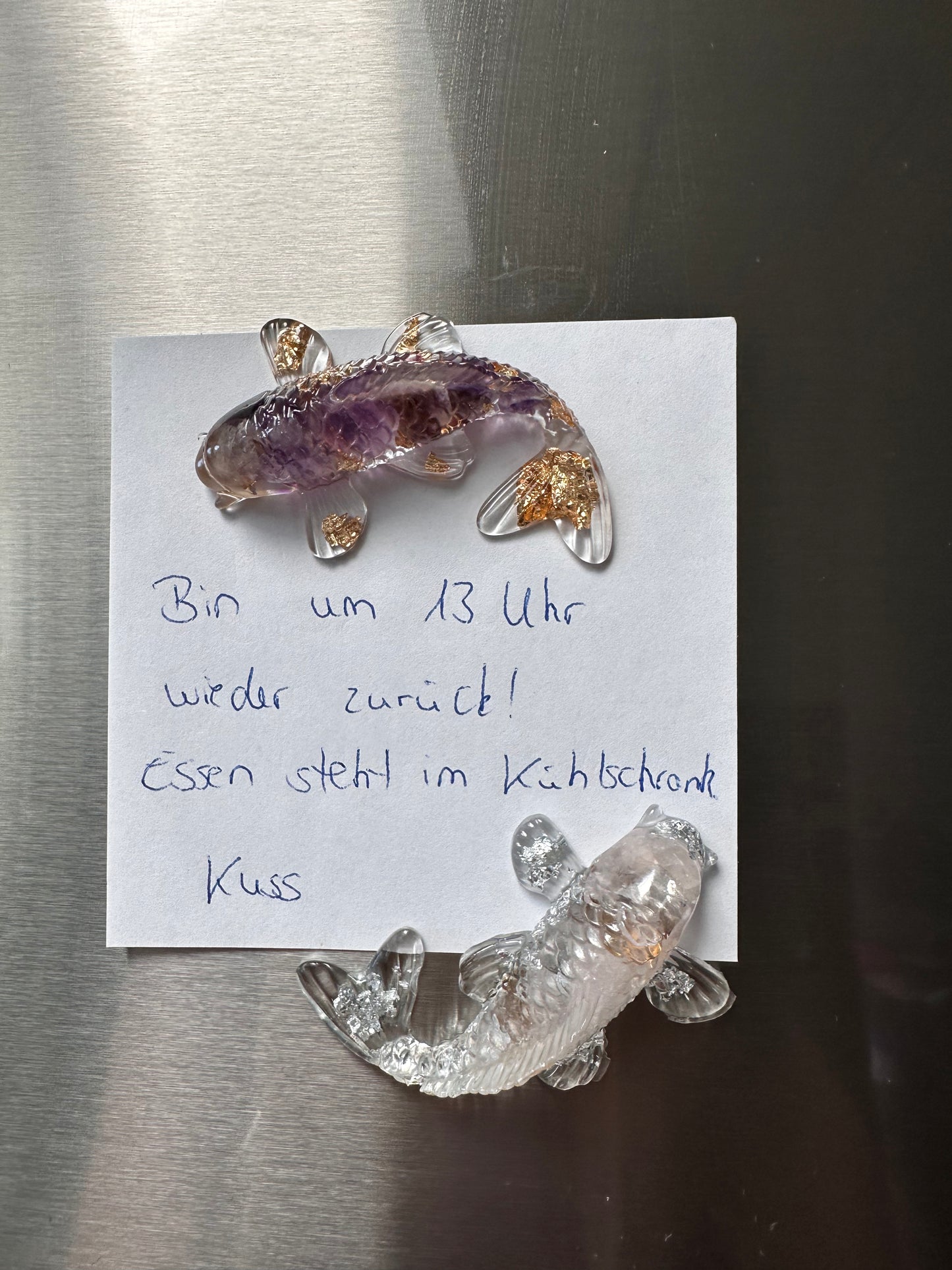 Kühlschrank Magnet Koi