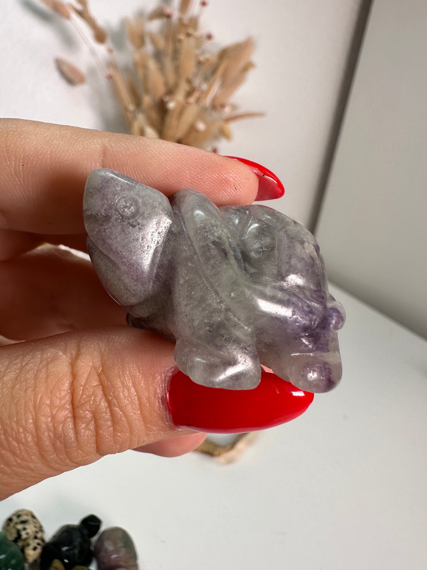 Fluorit Schildkröte 12P