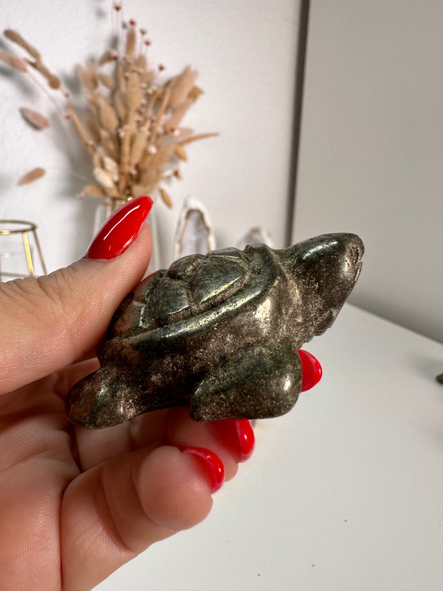 B-Ware Pyrit Schildkröte 18F