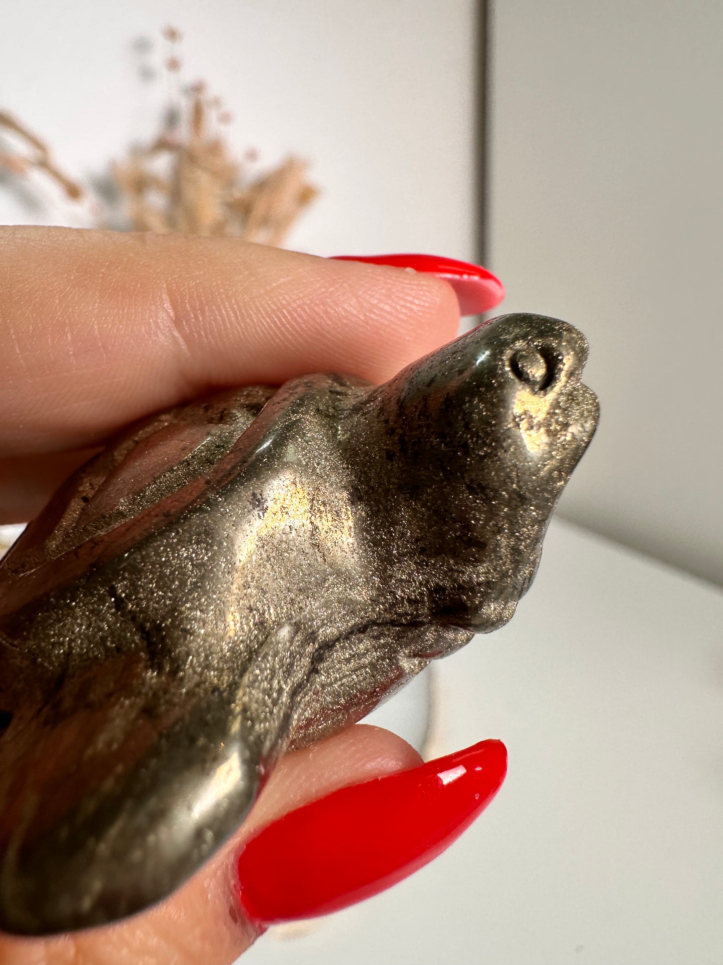 Pyrit Schildkröte 22G