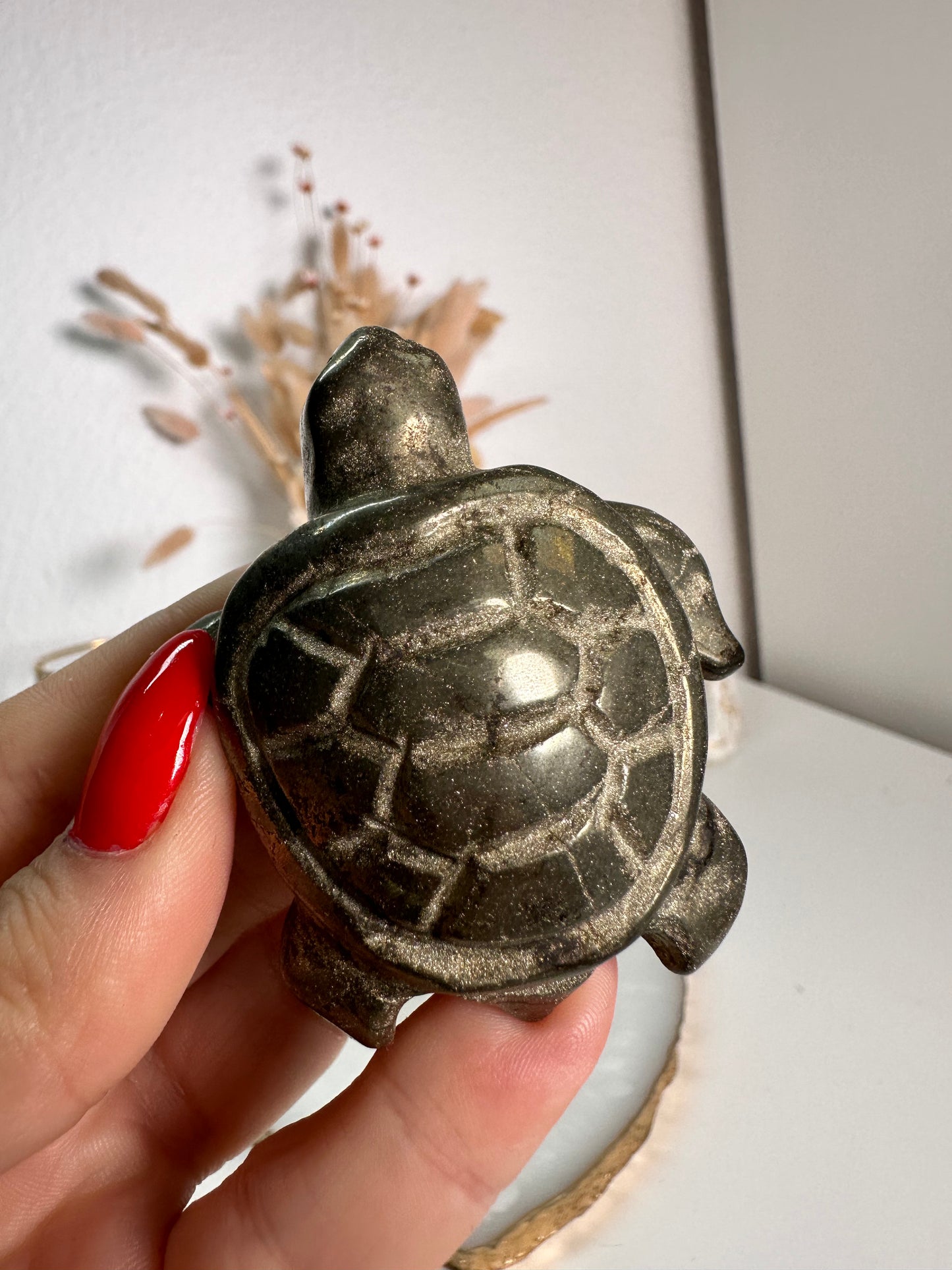 Pyrit Schildkröte 22G