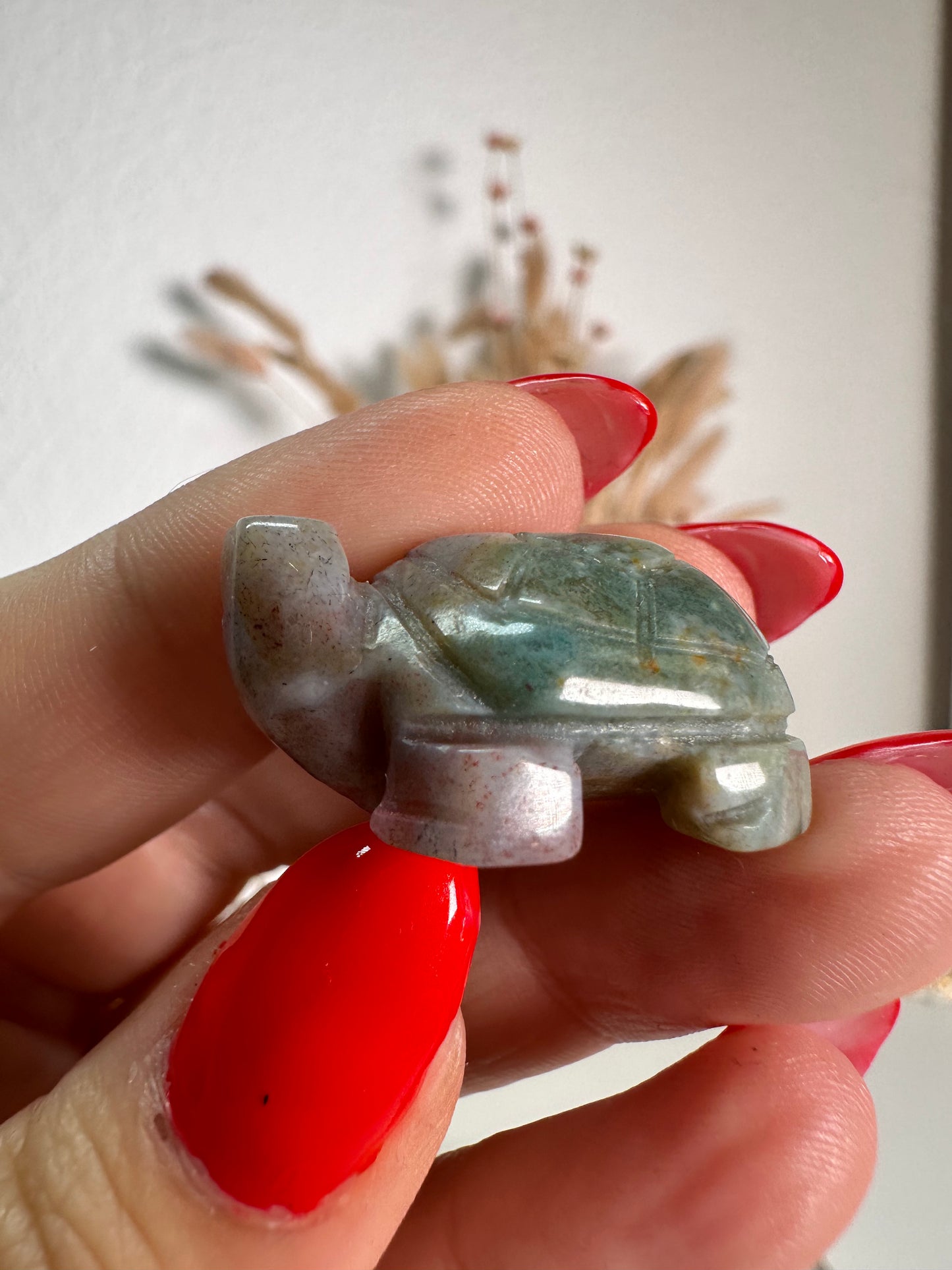 Mini Ozean Jaspis Schildkröte 6P