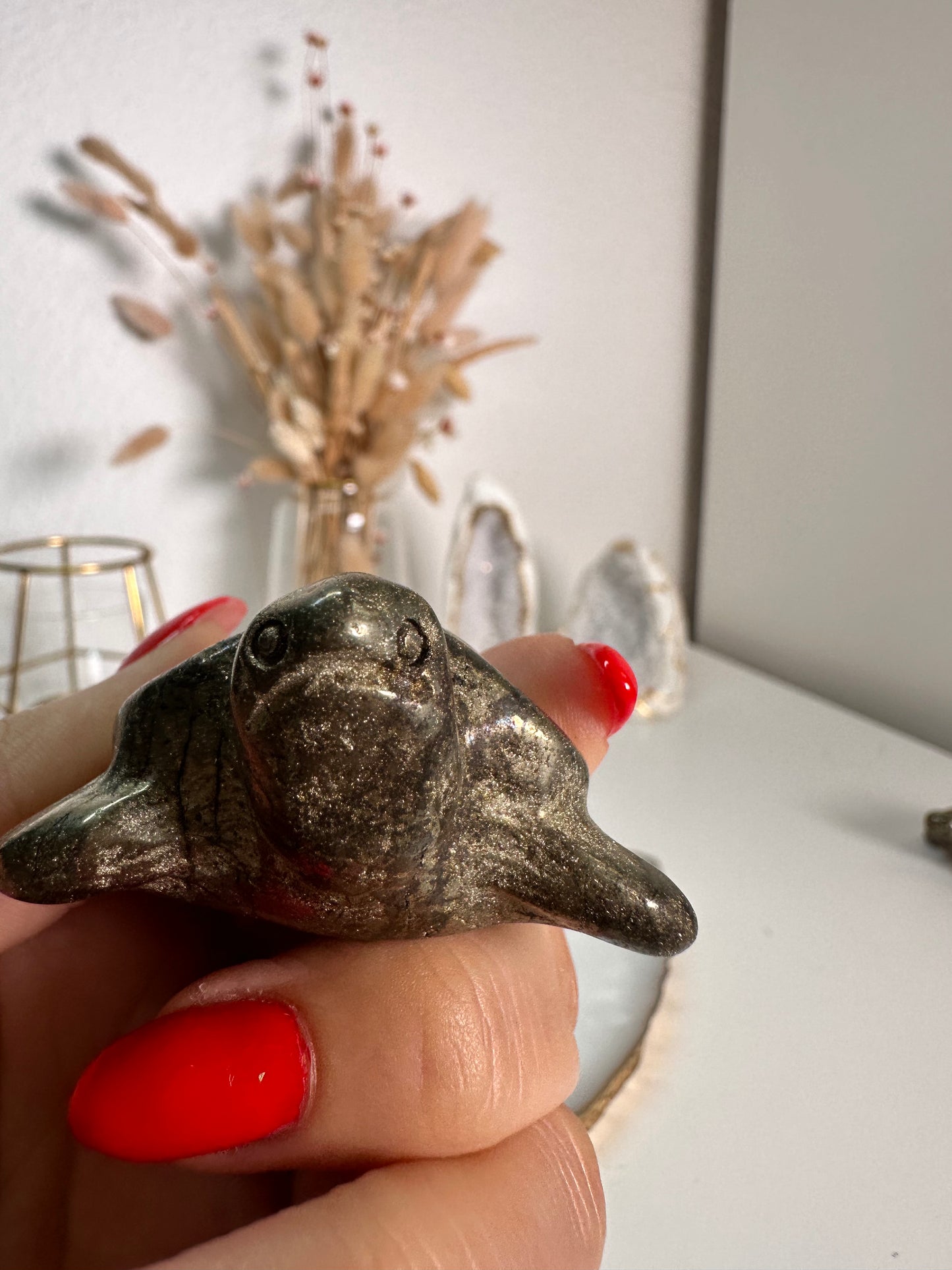 Pyrit Schildkröte 22I