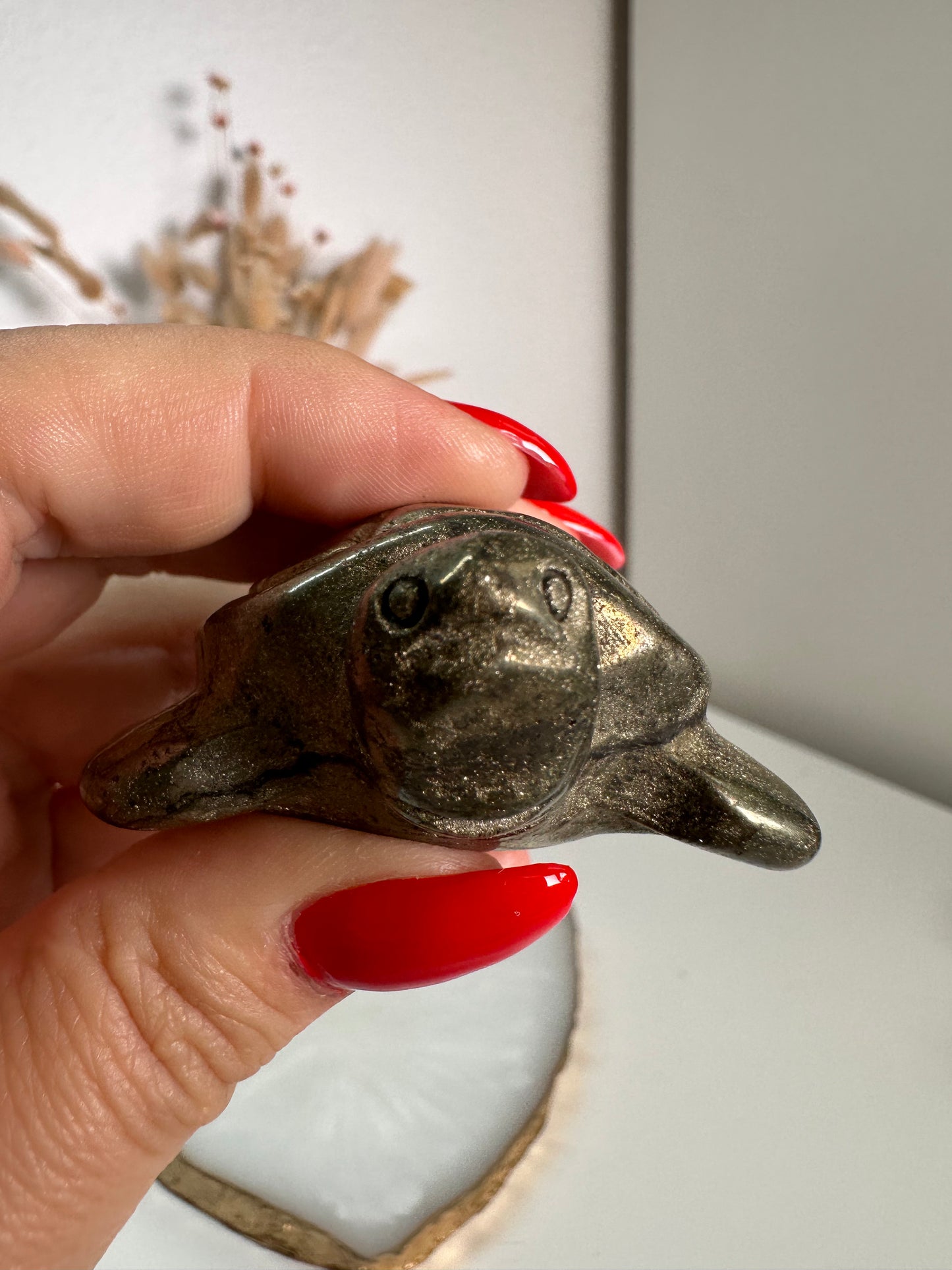 Pyrit Schildkröte 22G
