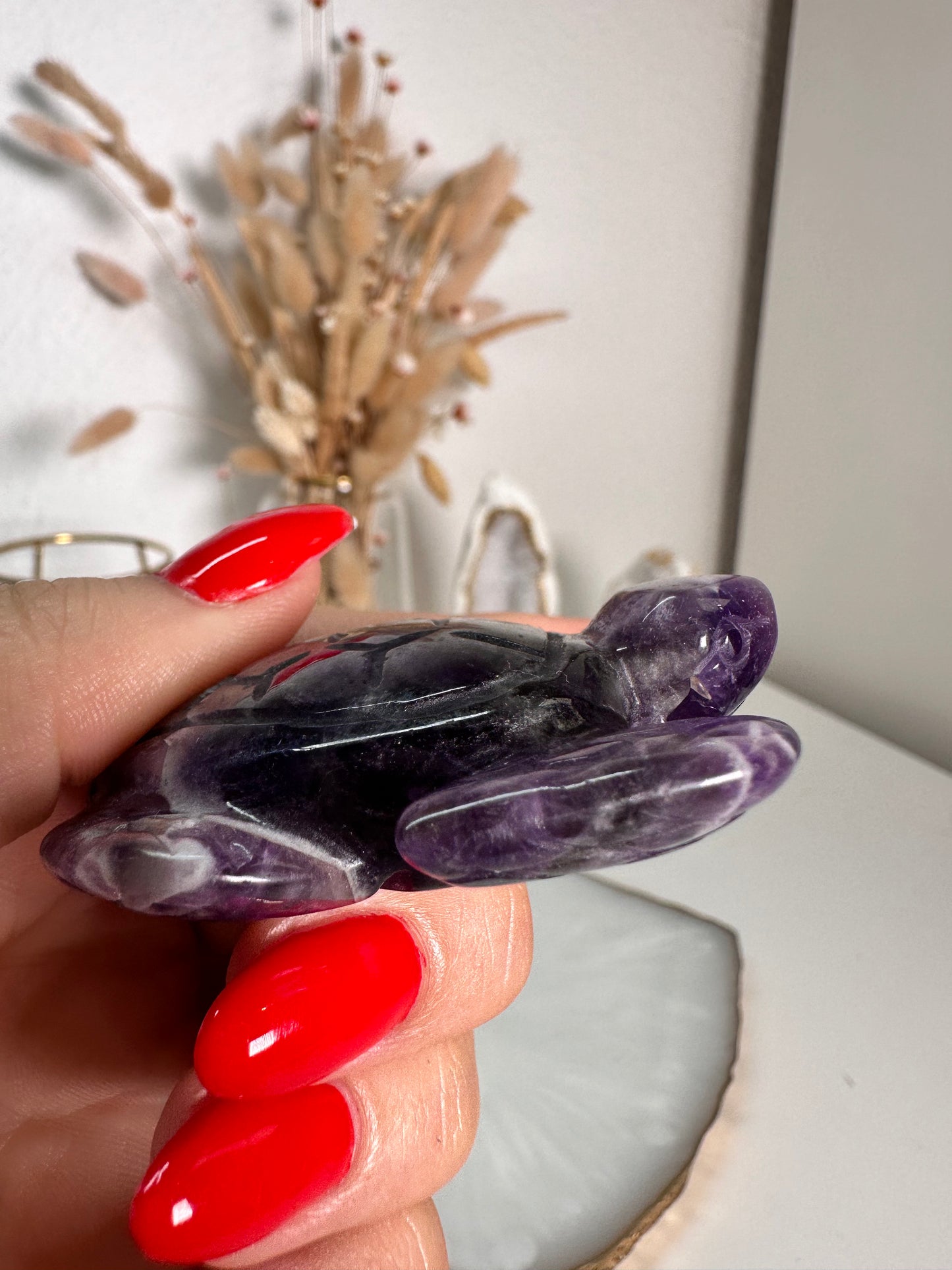 Chevron Amethyst Schildkröte 21C