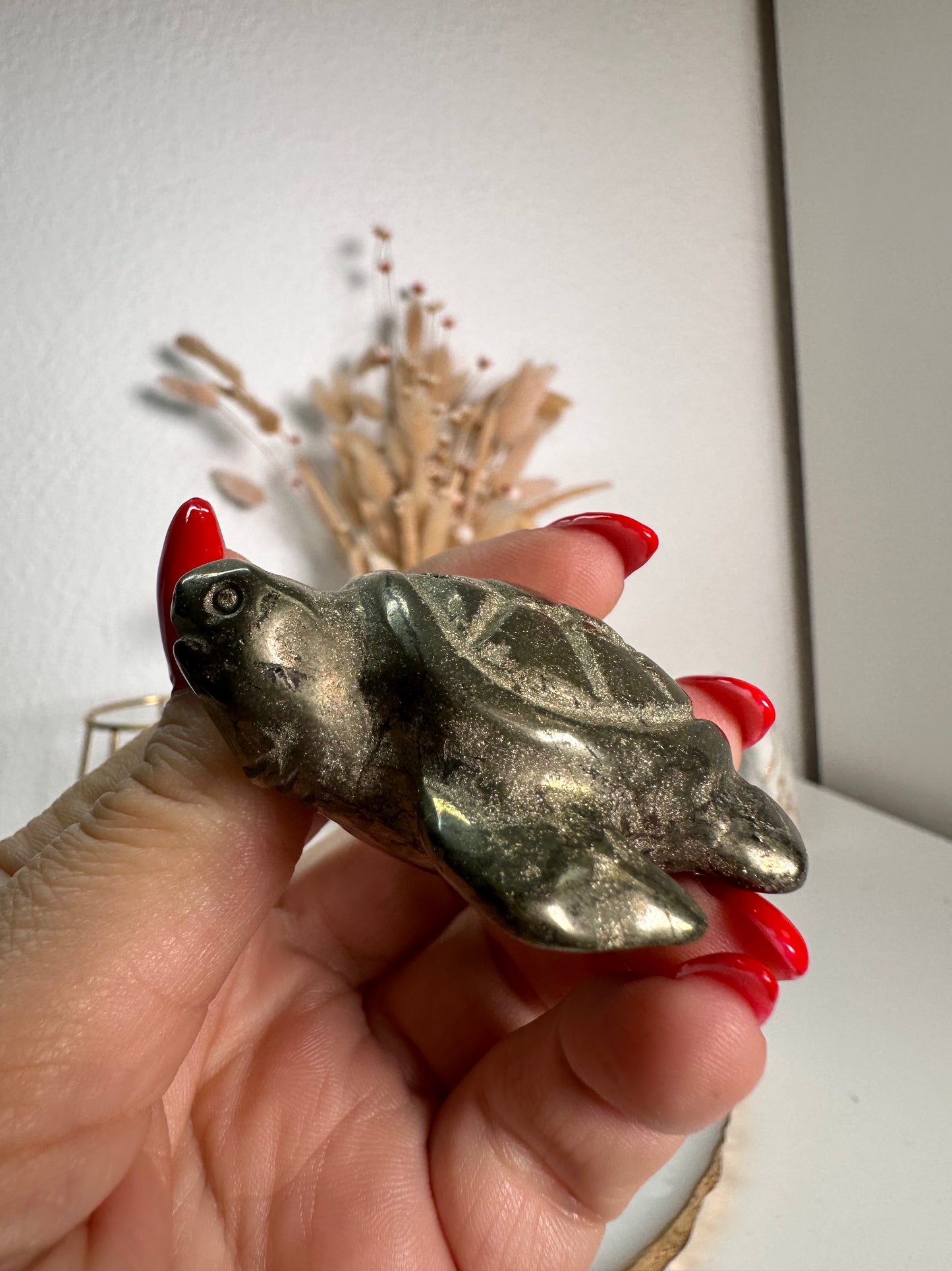 Pyrit Schildkröte 22H