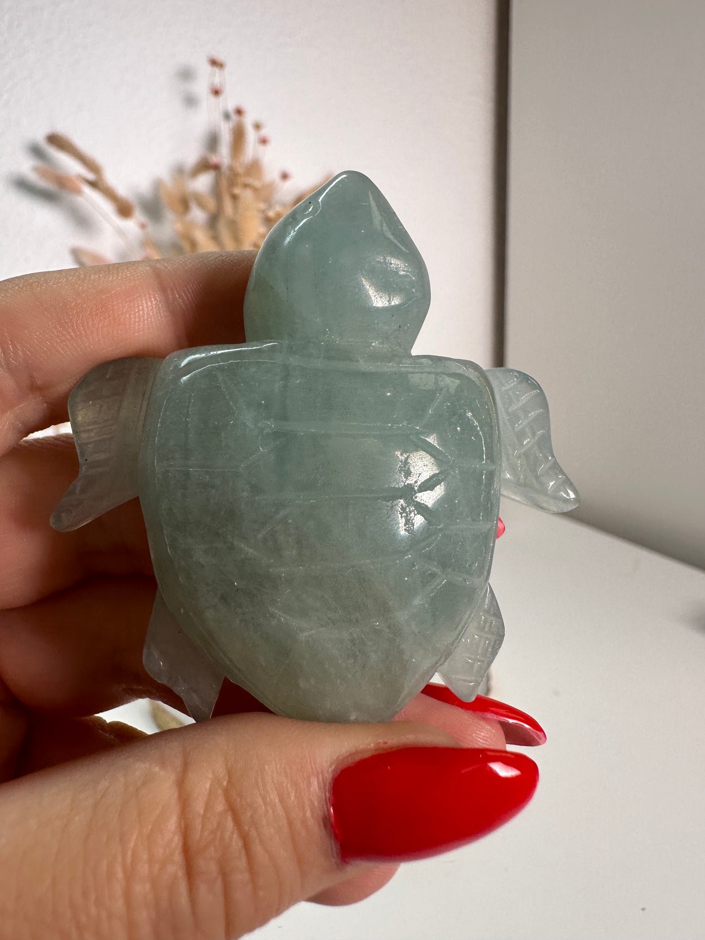 Aquamarin Schildkröte 39P