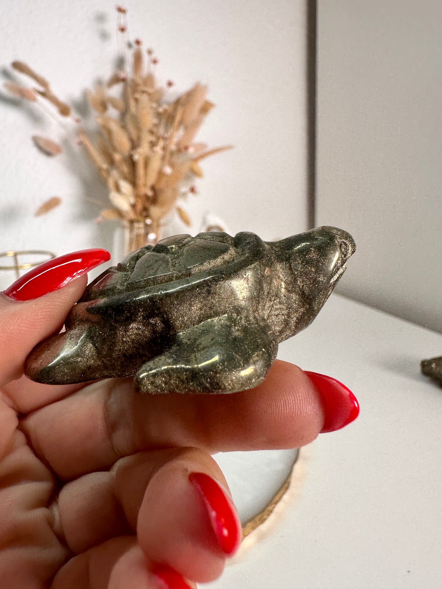 Pyrit Schildkröte 22I