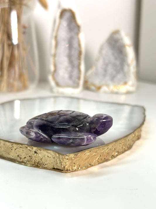 Chevron Amethyst Schildkröte 21C