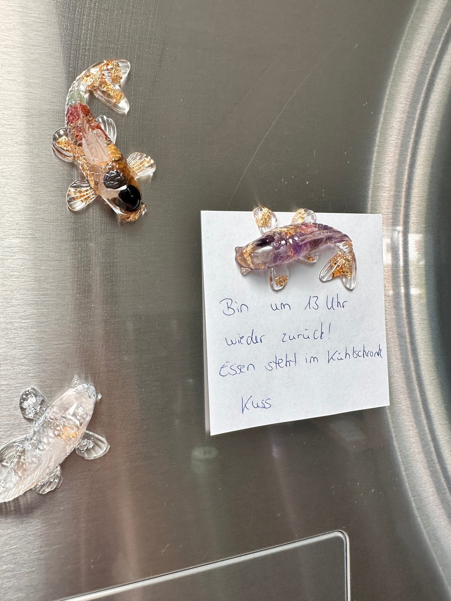 Kühlschrank Magnet Koi