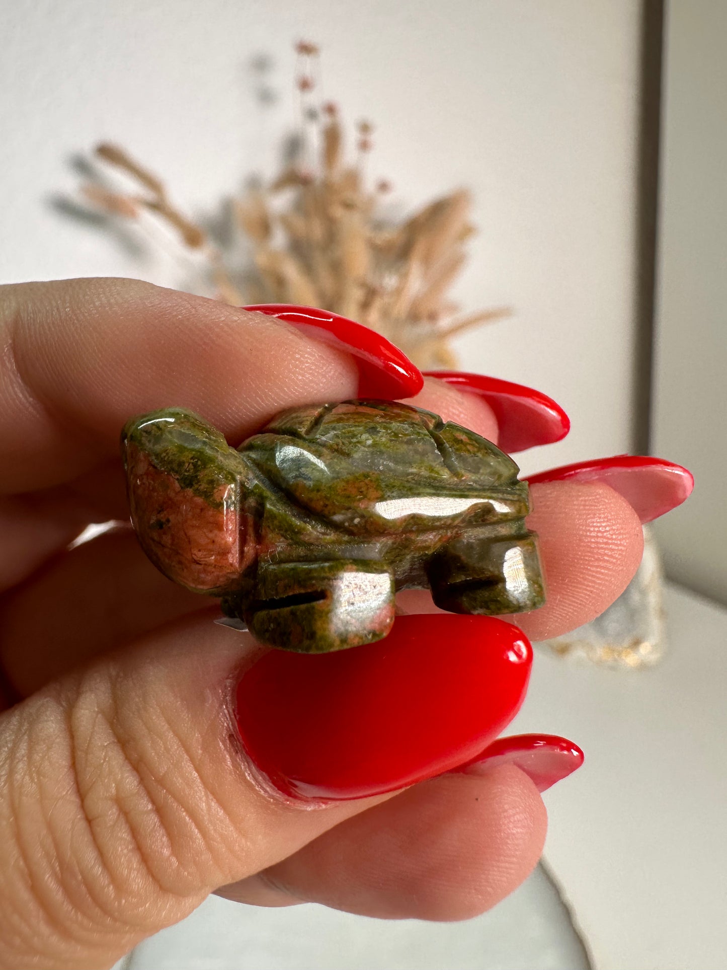 Mini Unakit Schildkröte 6N
