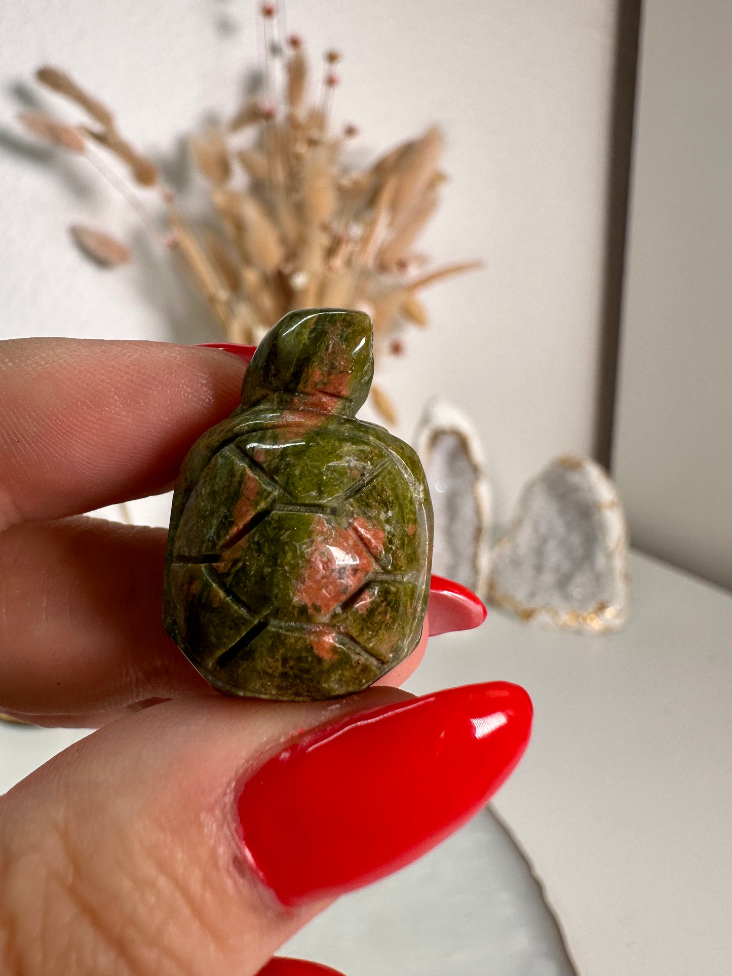 Mini Unakit Schildkröte 6N