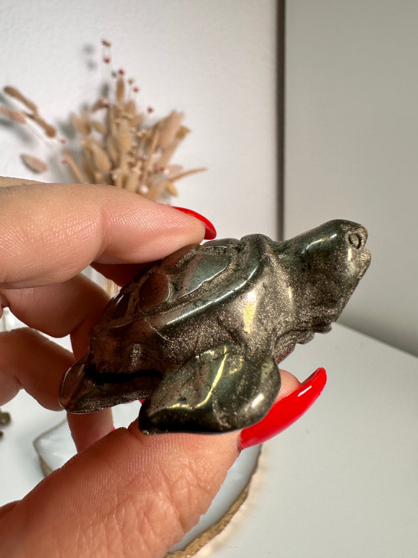 Pyrit Schildkröte 22G