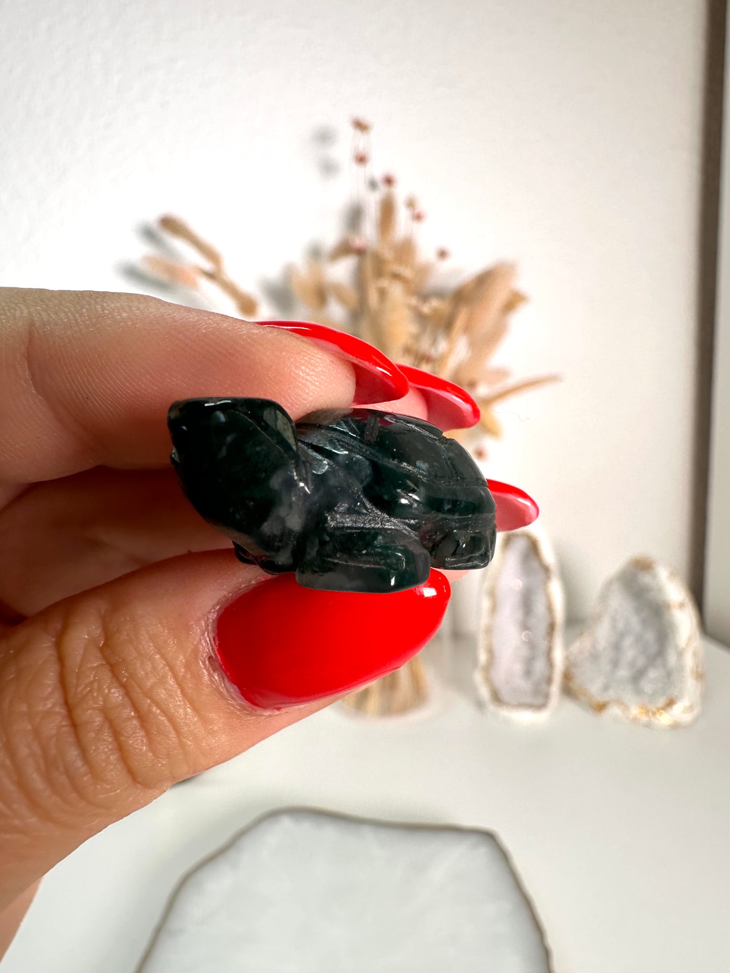 Mini Moos Achat Schildkröte 6A