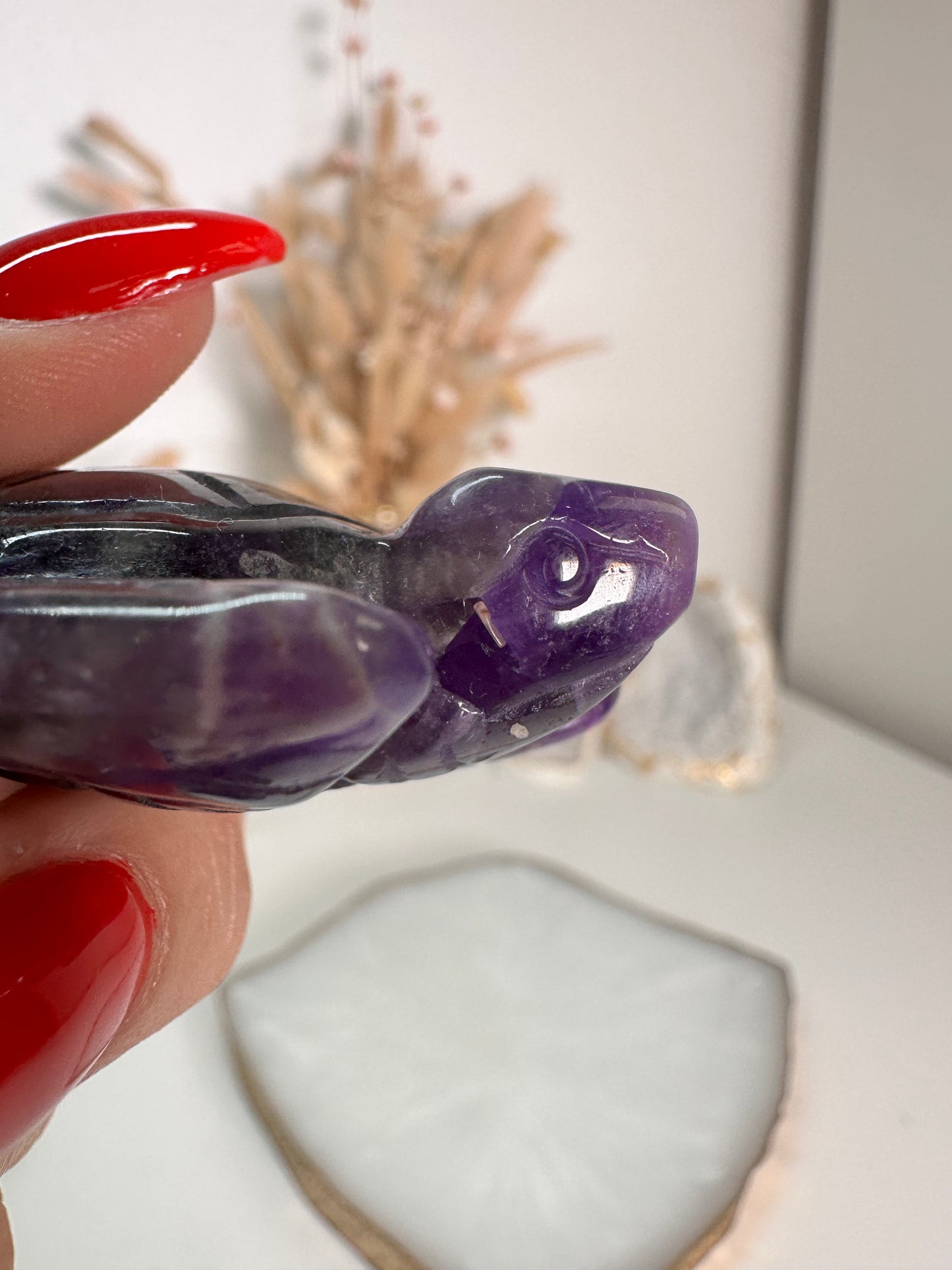 Chevron Amethyst Schildkröte 21C