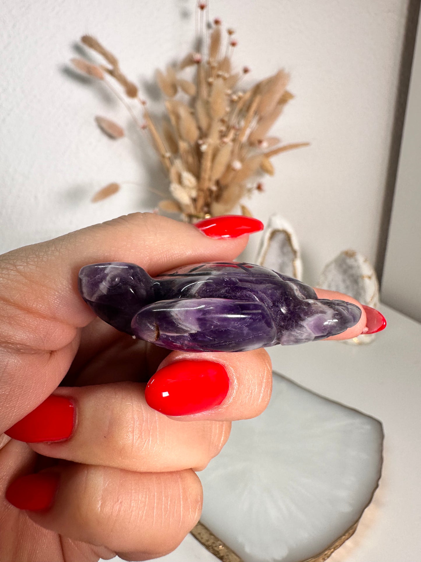 Chevron Amethyst Schildkröte 21C