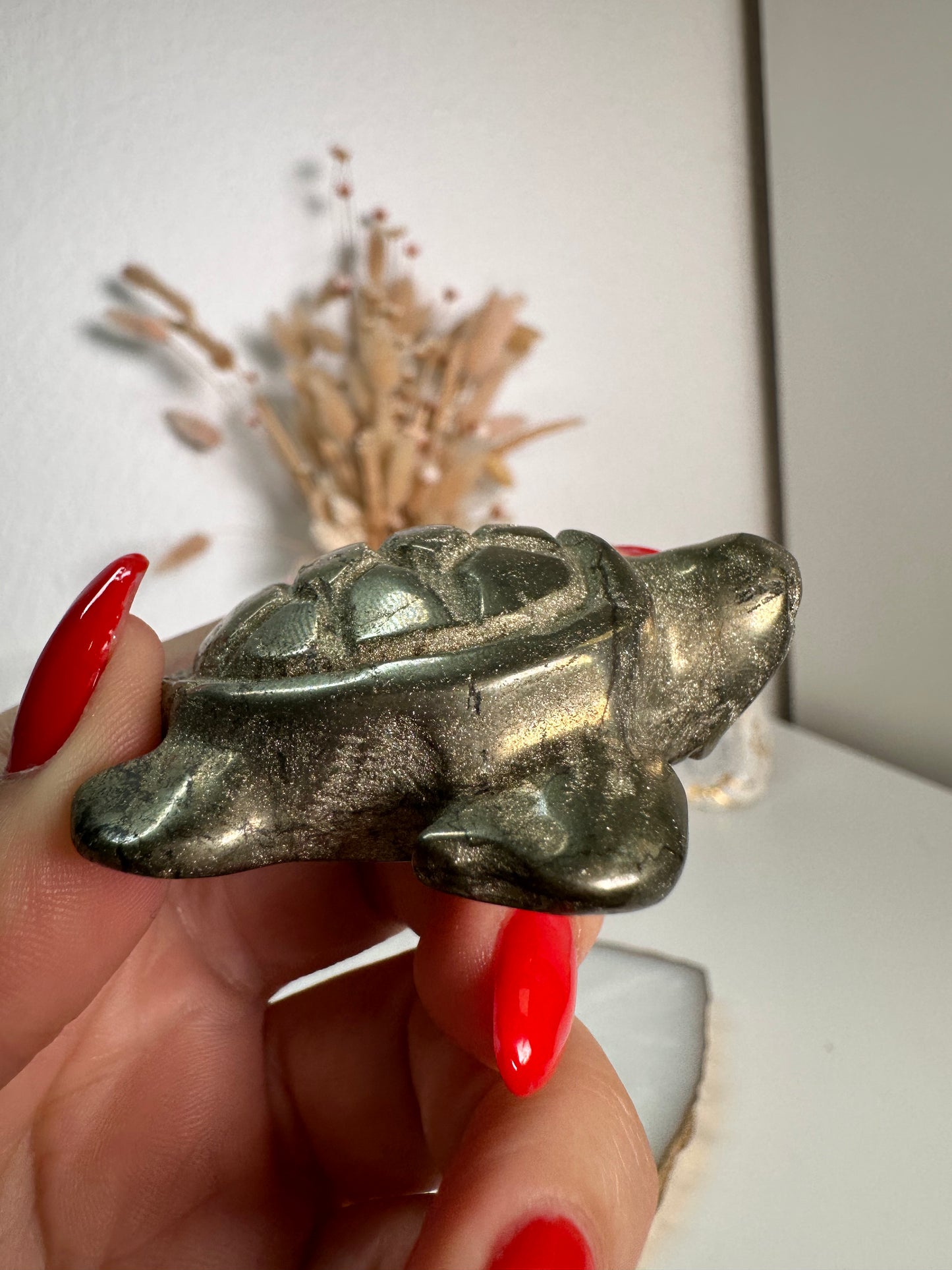 Pyrit Schildkröte 22H