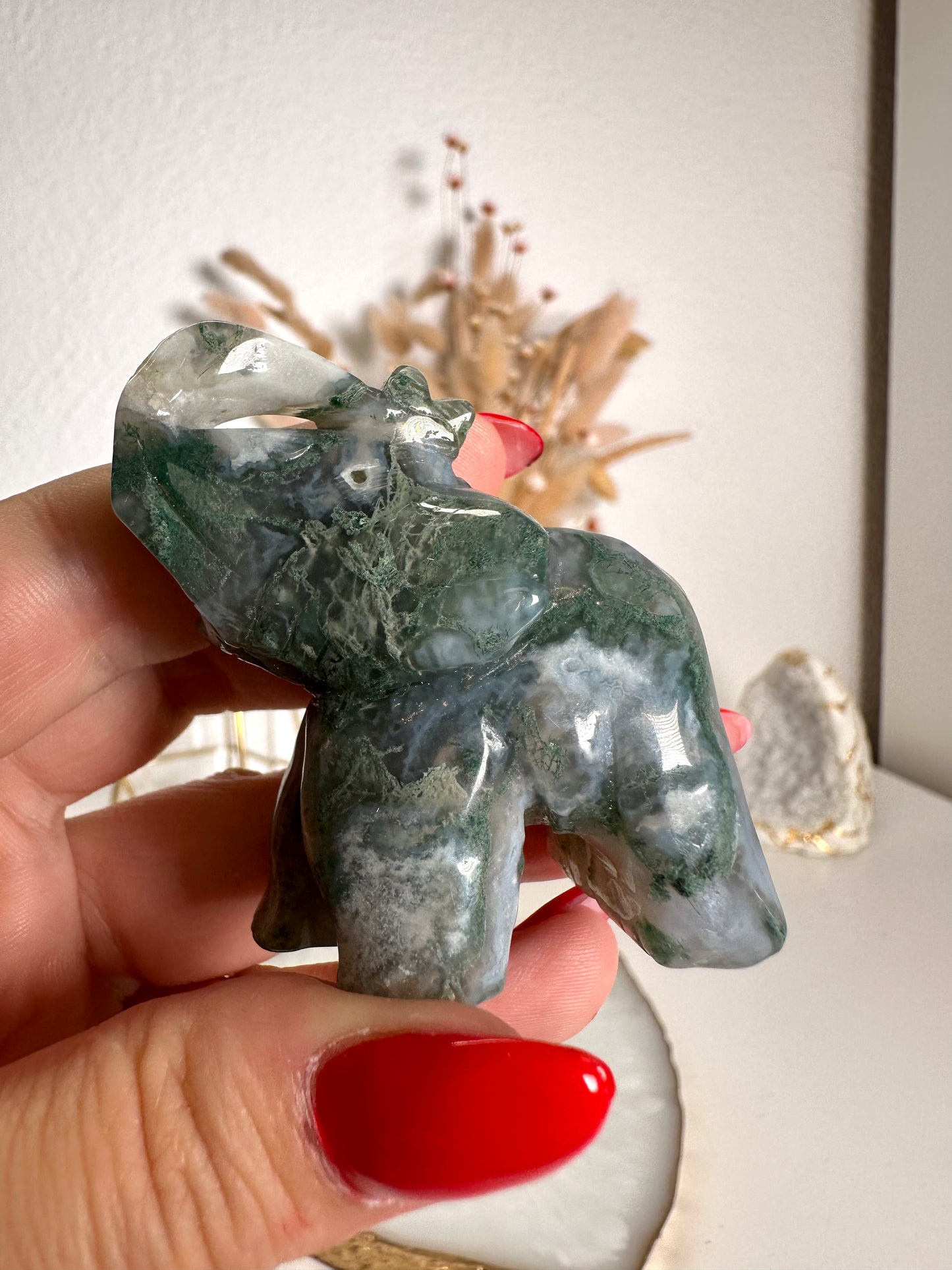 Moosachat Elefant 19A