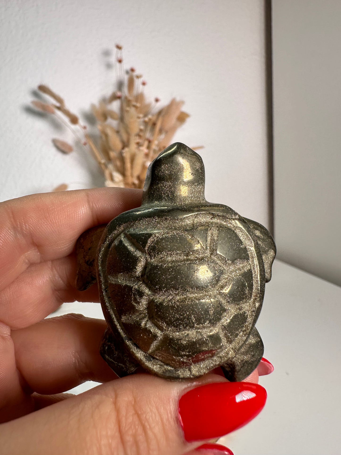 Pyrit Schildkröte 22H