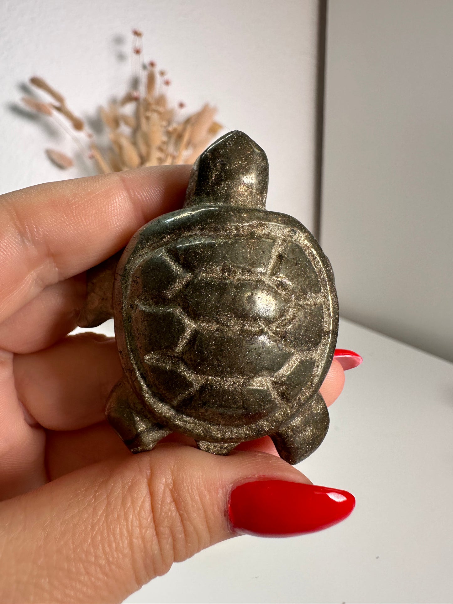 B-Ware Pyrit Schildkröte 18F