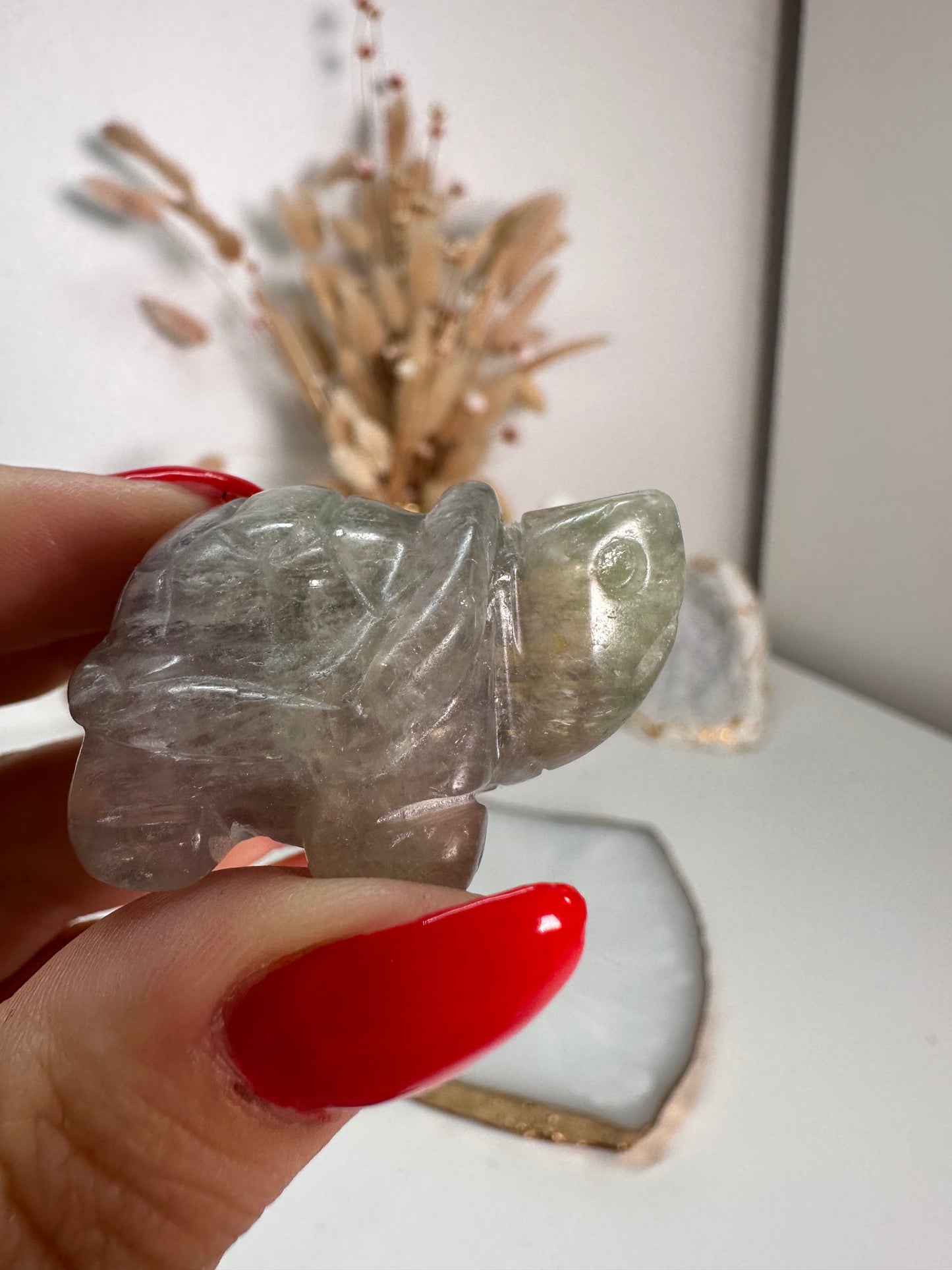 Fluorit Schildkröte 12U