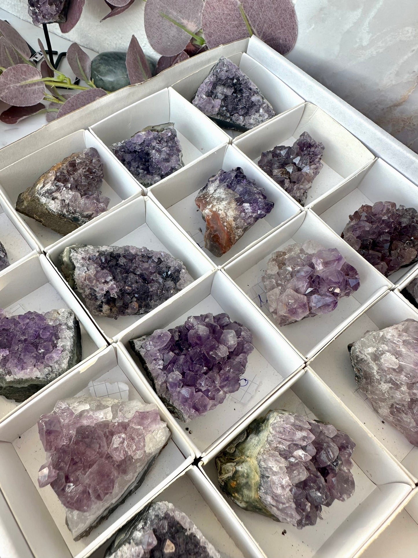 Amethyst Cluster