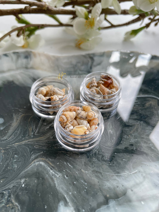 Kleine Muscheln für Deine Resin Kunstwerke