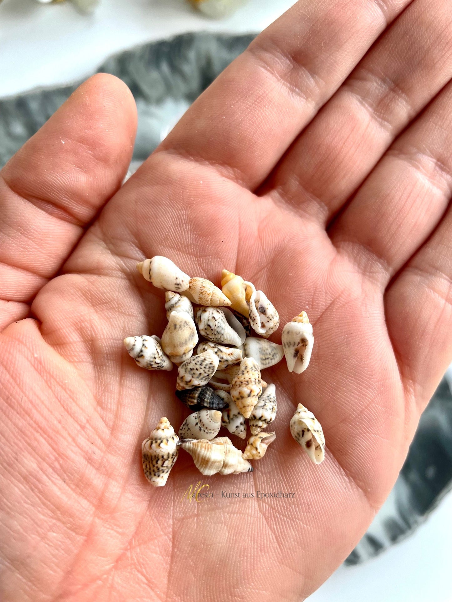 Kleine Muscheln für Deine Resin Kunstwerke